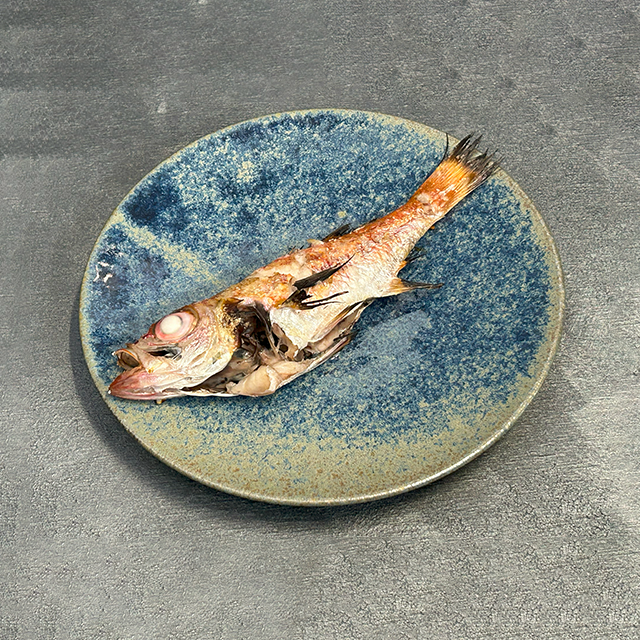 Materia 210 Plate Blue